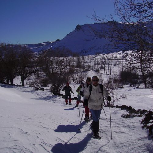 DIGITAL CAMERA DIGITAL CAMERA