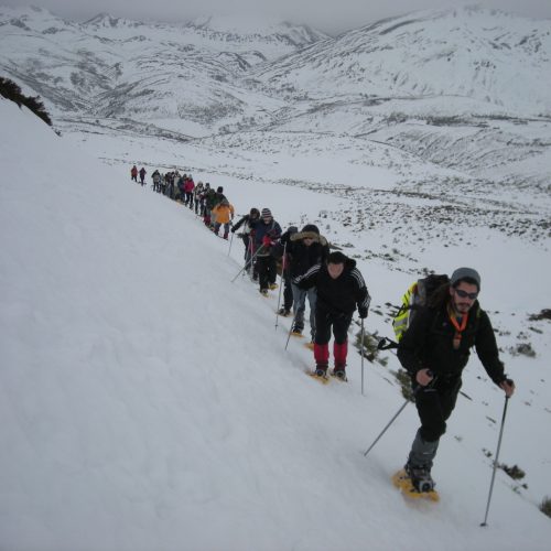 Imagen 014 Imagen 014