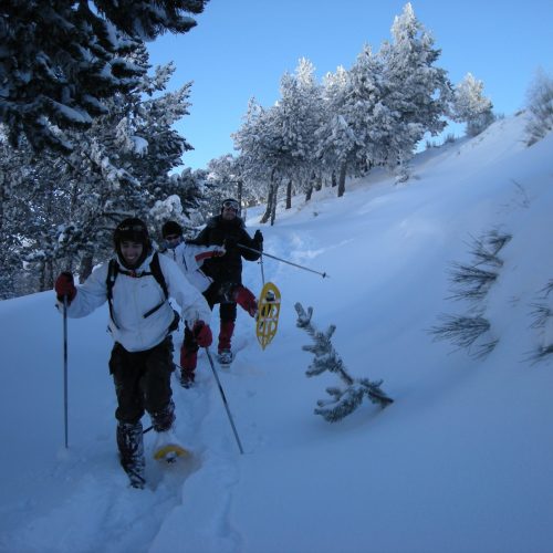 Rutas de raquetas de nieve Raquetas de nieve