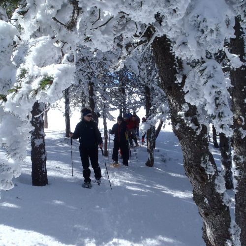 Raquetas de nieve Raquetas de nieve en León