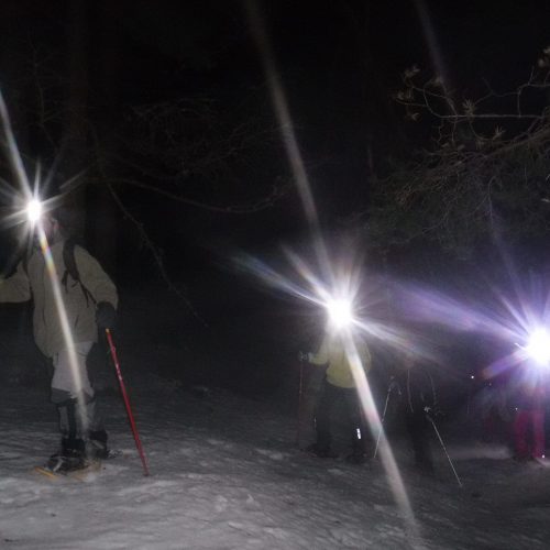 Sin título copia 2